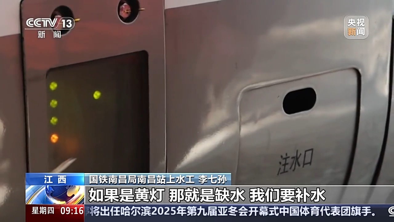 教练组和球